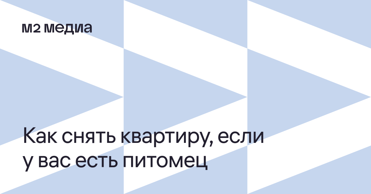 Как снять квартиру с питомцем: советы при аренде жилья с кошкой или ...