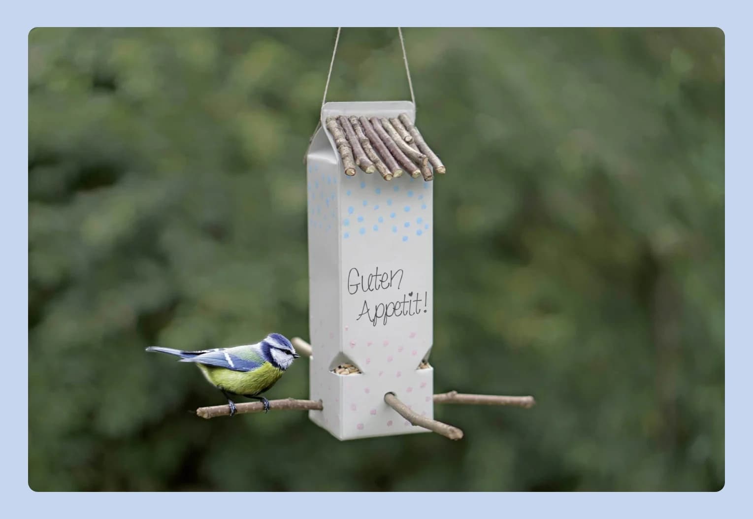 кормушка из коробки молока