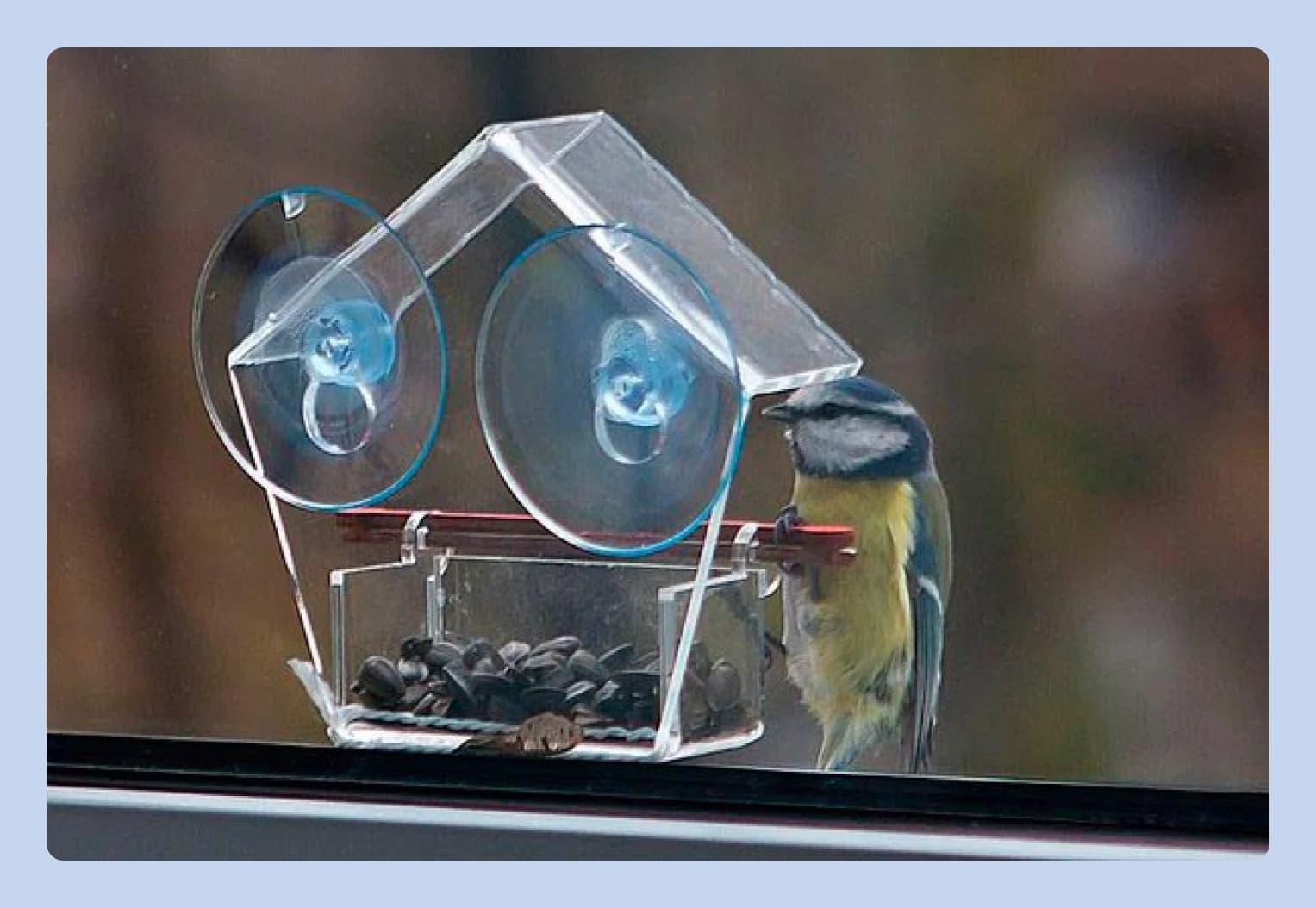 кормушка на присосках