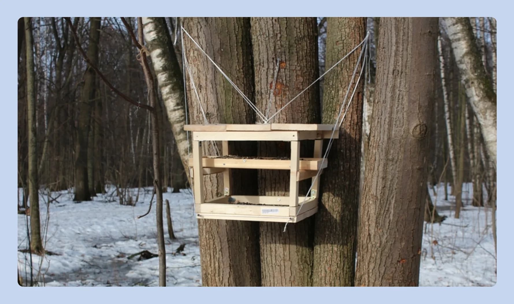 кормушка на верёвках