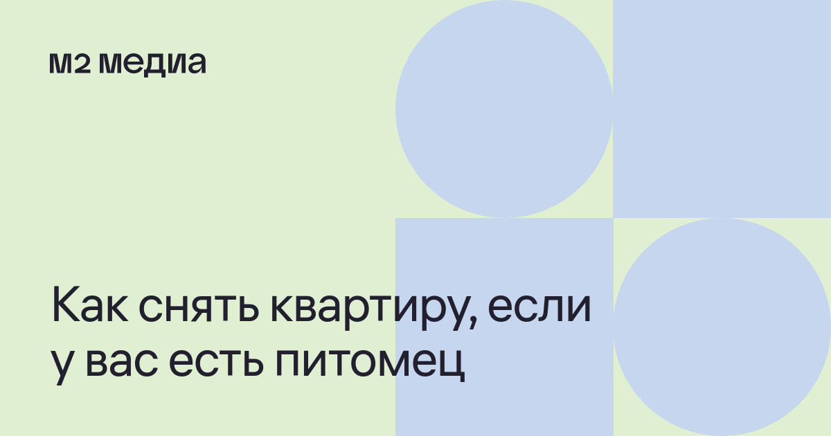 Как снять квартиру с питомцем: советы при аренде жилья с кошкой или ...