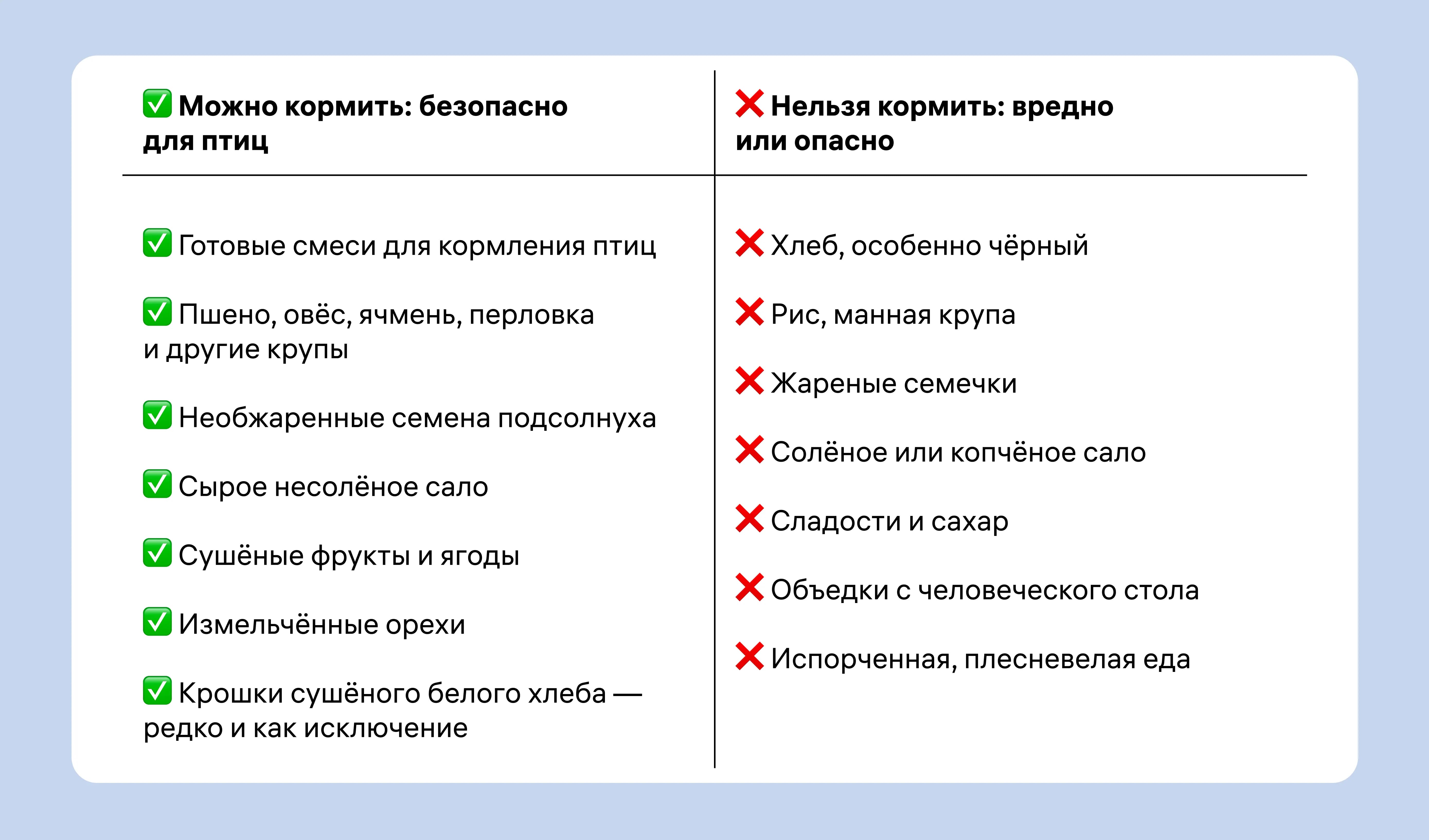 чем можно кормить птиц